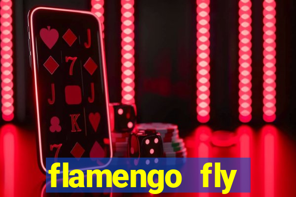 flamengo fly emirates ultimas noticias